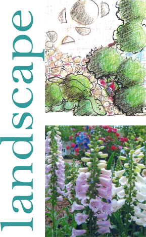 Leigh Ann Ellis Design Samples